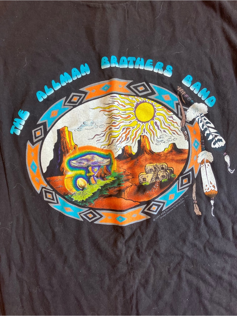 The Allman Brothers Band Kids Black Graphic Tee
